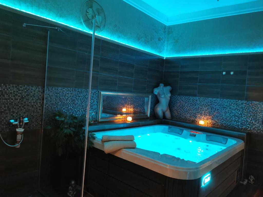 Wellness Stodolni Ostrava - 標準スイート