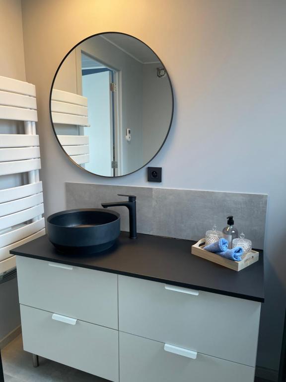 bagno con lavandino e specchio su un bancone di Tiny House in Limburg bij Kelly & Nick a Ham