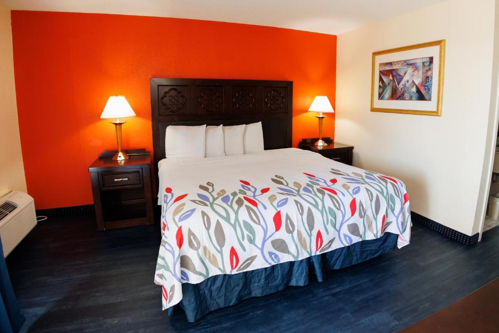 Garnet Inn & Suites, Orlando - 豪华国王套房