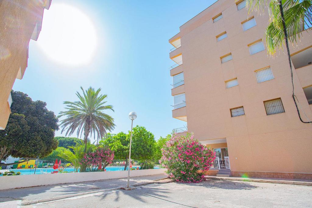 Apartment 068 Pino Relax - Alicante Holiday, La Mata, Spain ...