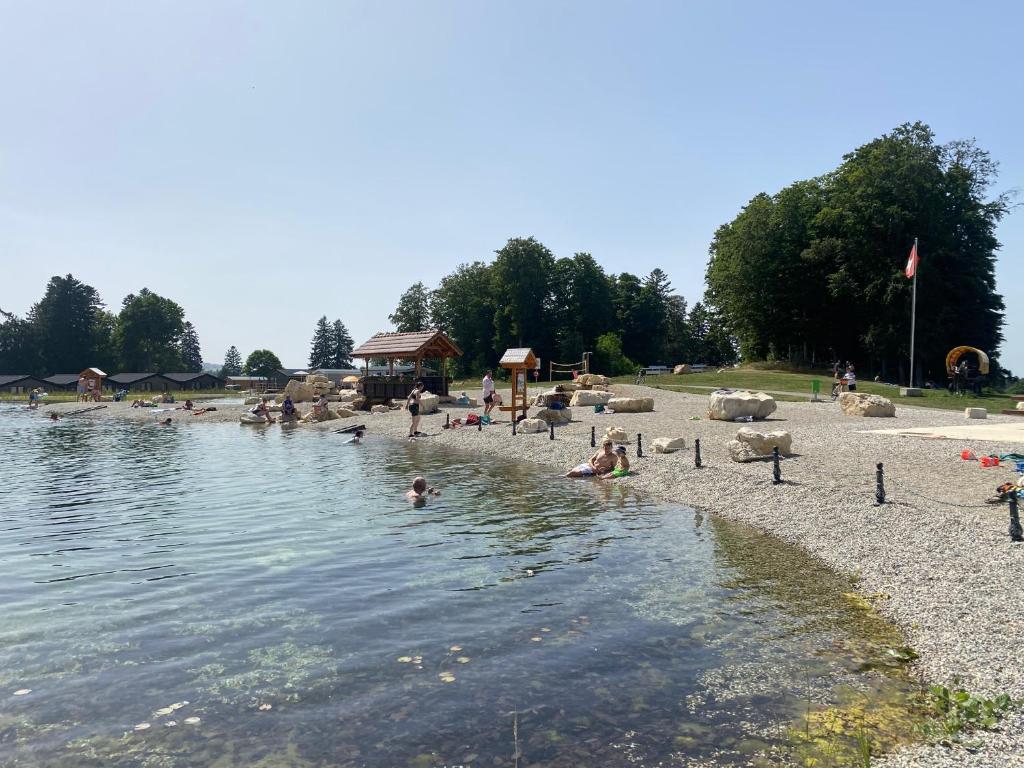 la Cibourg, Centre de vacances في Renan: مجموعة من الناس يسبحون في جسم ماء