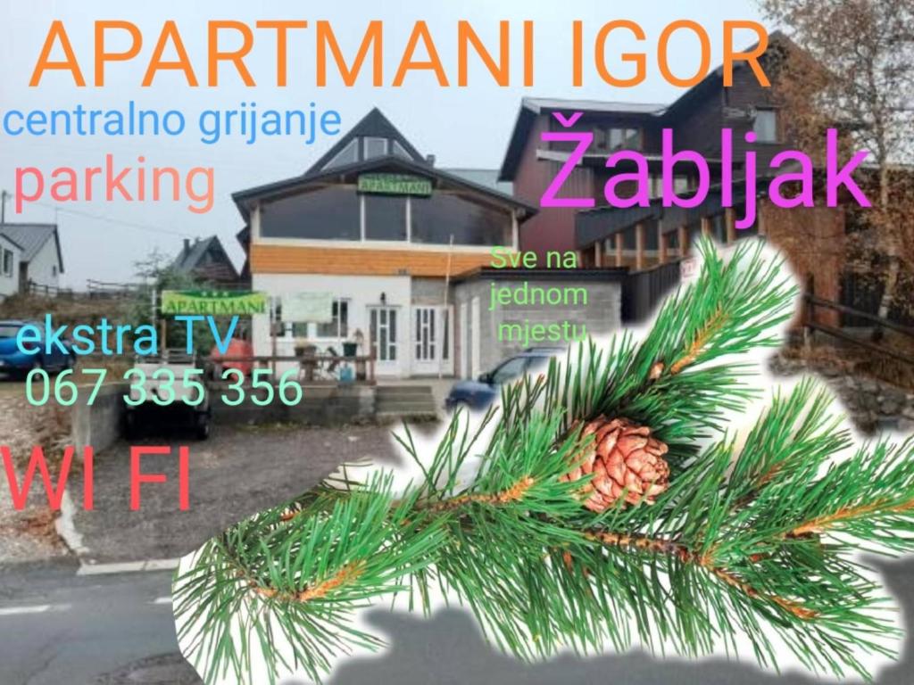 Un árbol de Navidad delante de una casa en Apartments Igor en Žabljak