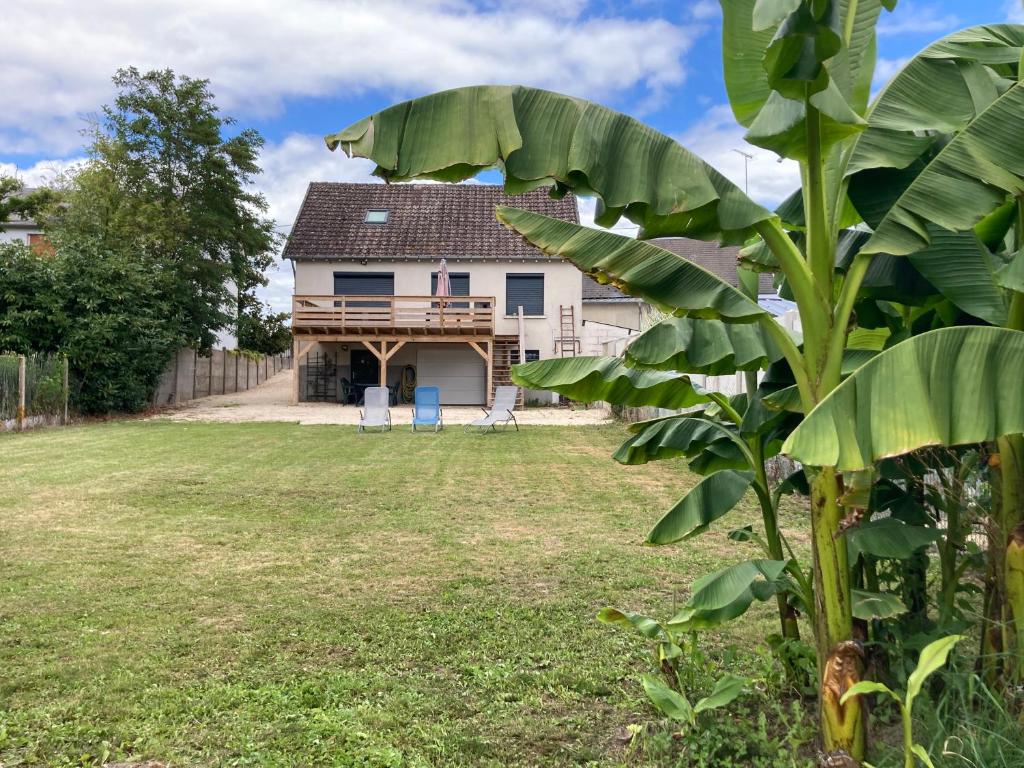 dom z drzewem bananowym na podwórku w obiekcie Maison calme proche zoo beauval et chateaux de la loire w mieście Contres