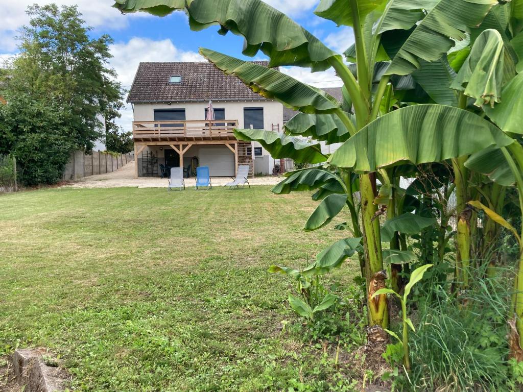Ogród w obiekcie Maison calme proche zoo beauval et chateaux de la loire