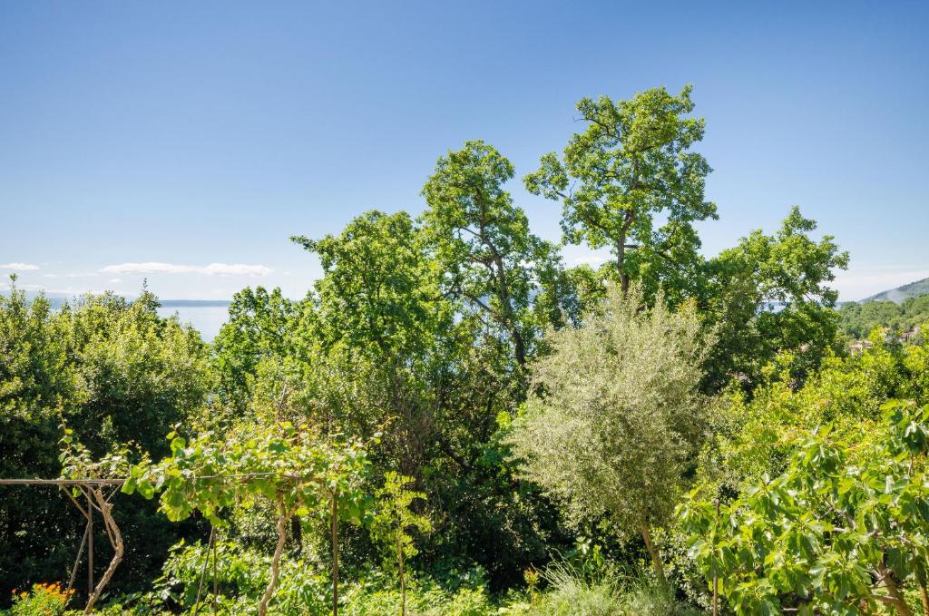 Príroda v okolí apartmánu