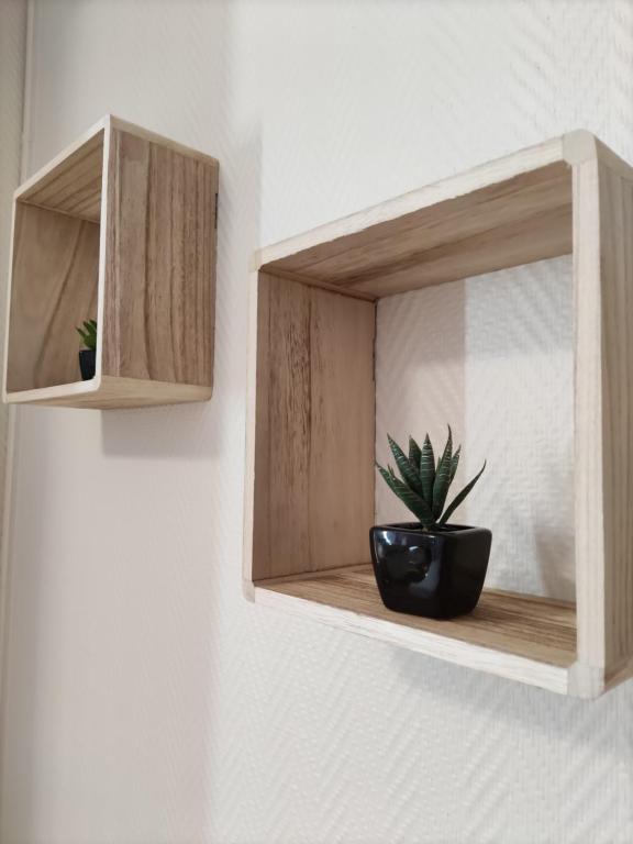 a wooden shelf with a potted plant on a wall at Le Nid - Studios in Chartres