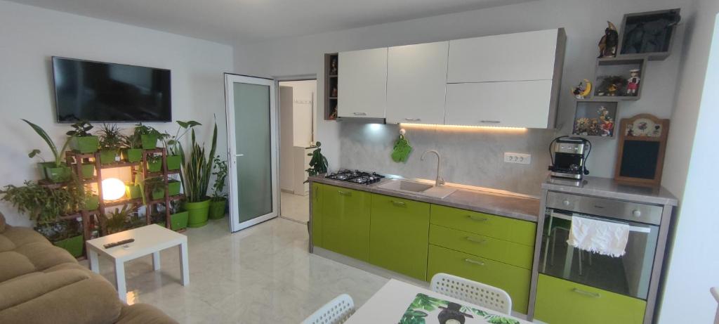 cocina con armarios verdes y encimera en Abel Luxury Home en Constanza
