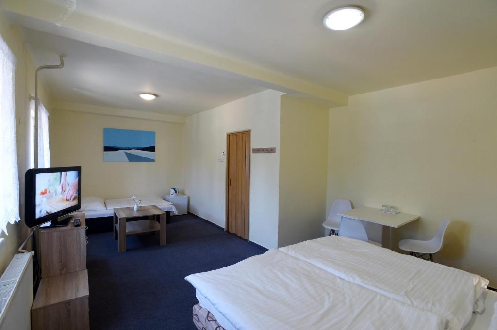 a hotel room with a bed and a television at Hotel U Jezírka in Liberec