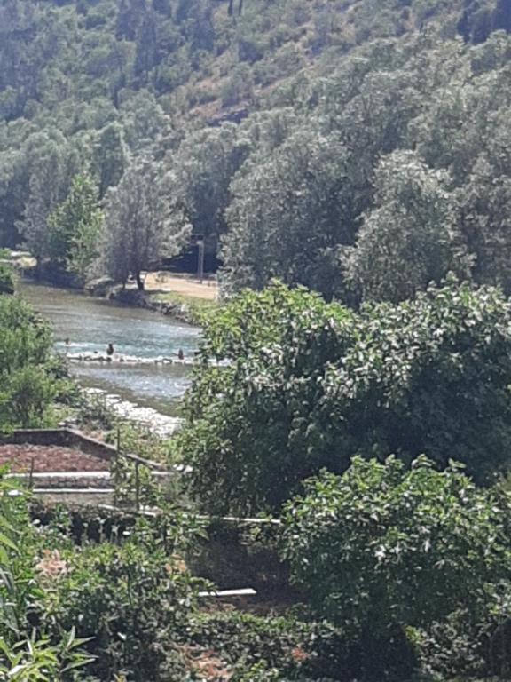 Un río con gente en el agua y los árboles en Apartman Čerkez en Stolac