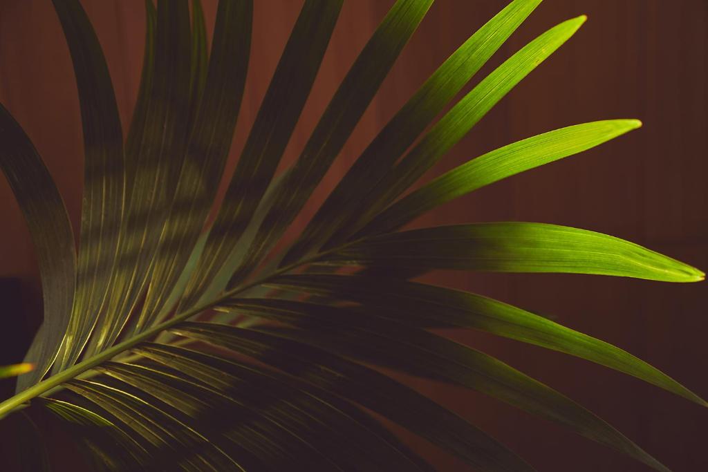 Nakar Hotel - Resim 32