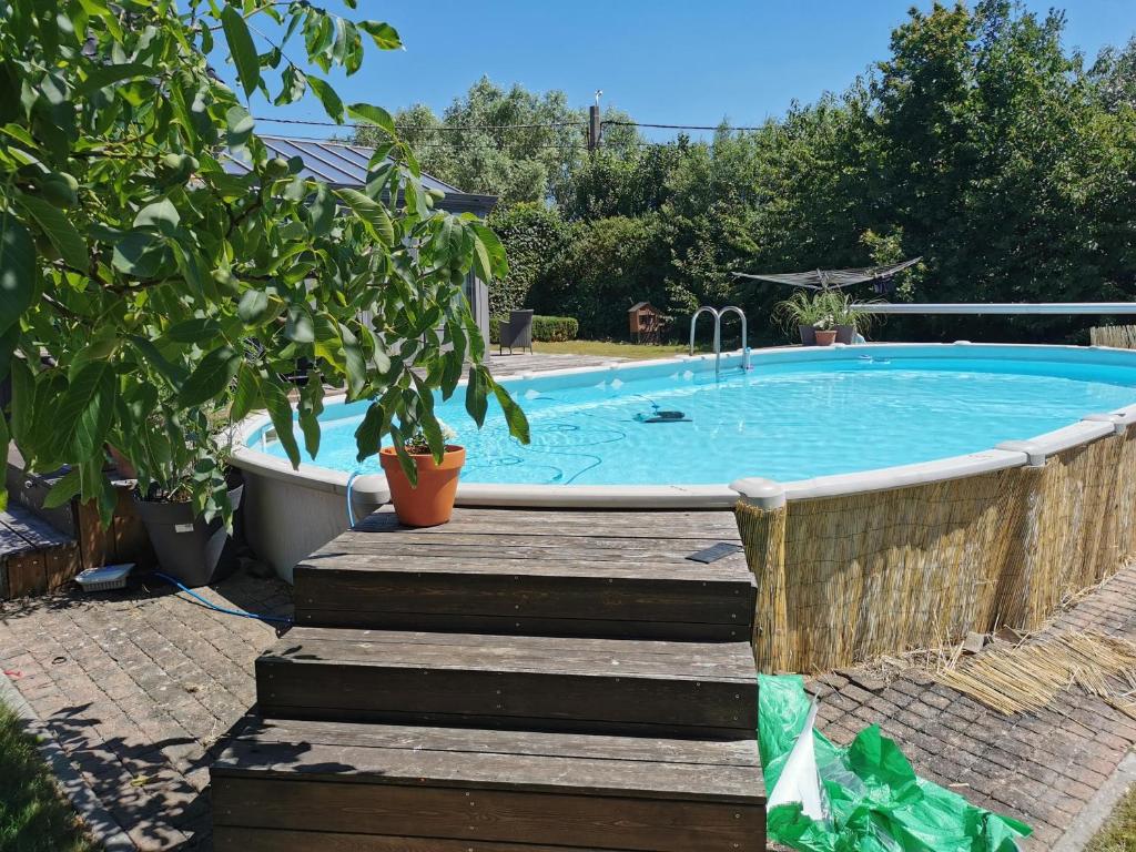 波珀靈厄的住宿－Maison Marie，一个带木甲板的大型游泳池