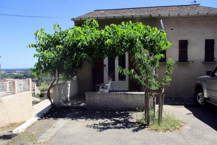 małe drzewko przed domem w obiekcie T2 Casamozza Sud de Bastia w mieście Monte