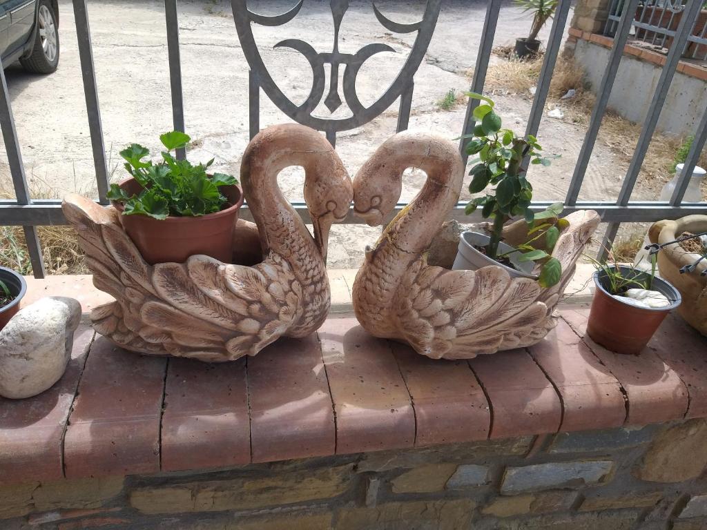 Ảnh trong thư viện ảnh của Villa Eden ở Agropoli