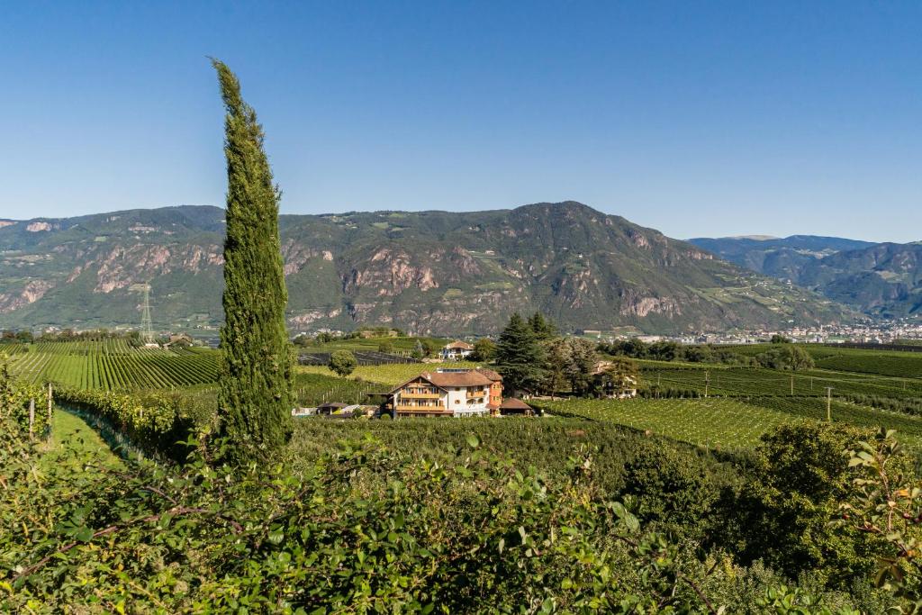 une maison dans un vignoble avec des montagnes en arrière-plan dans l'établissement Hotel Linger, à Appiano sulla Strada del Vino