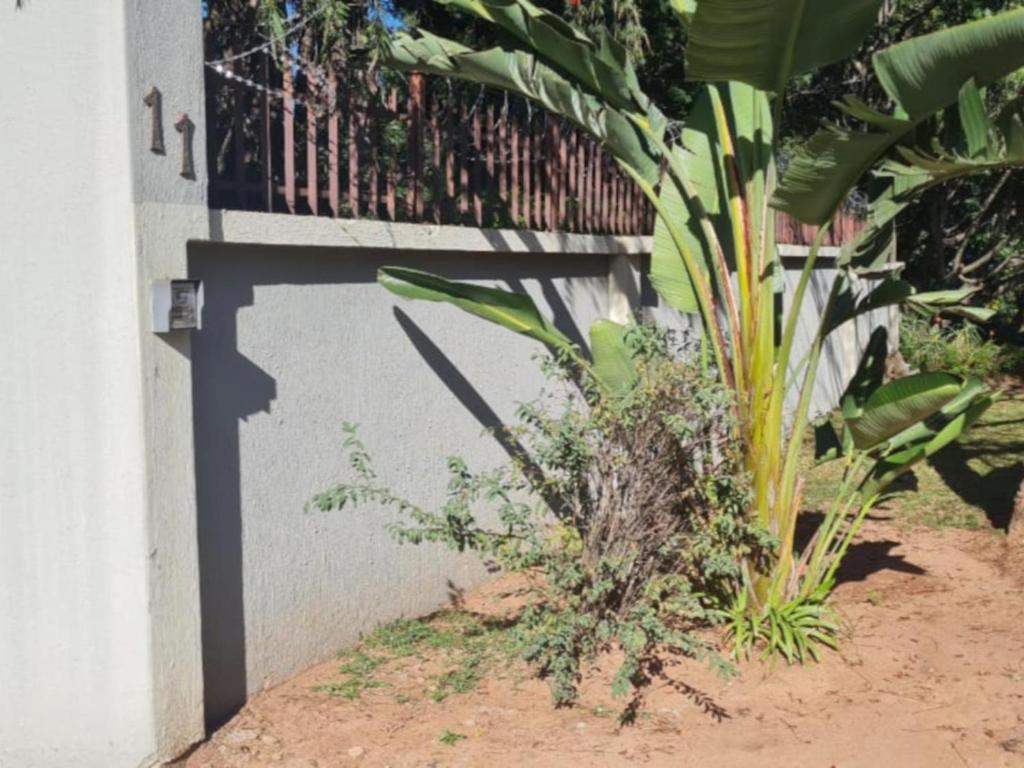 Un jardín fuera de Groenewald's Haven