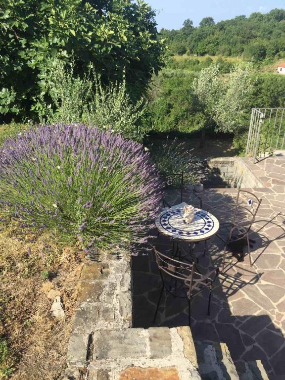 Zahrada ubytování Fig&Lavender Apartment