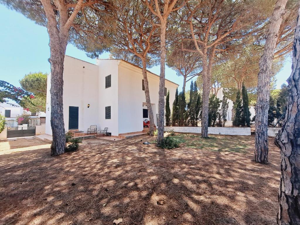 Fotografie z fotogalerie ubytování Chalet Carina v destinaci Chiclana de la Frontera