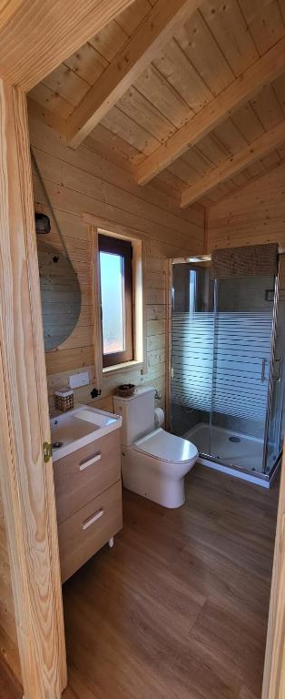 a bathroom with a toilet and a sink and a shower at Las casitas de Pao in El Pinar del Hierro