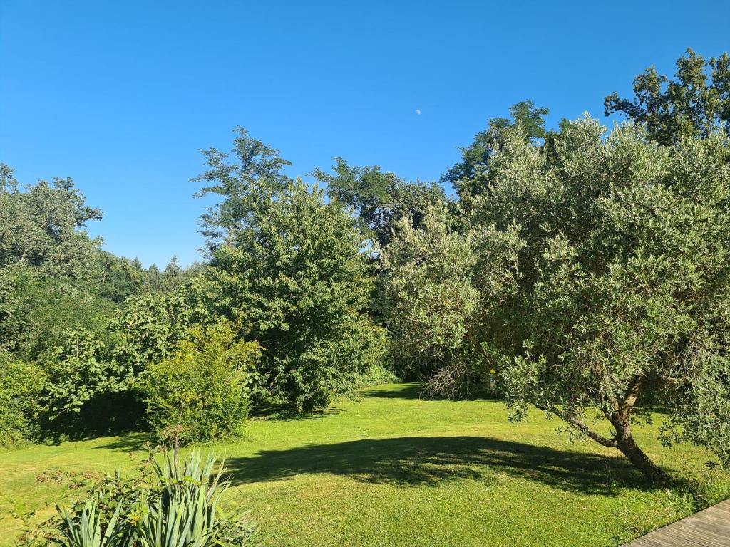 un albero in un campo con erba e alberi di Studio à la campagne sans vis à vis a Boulin