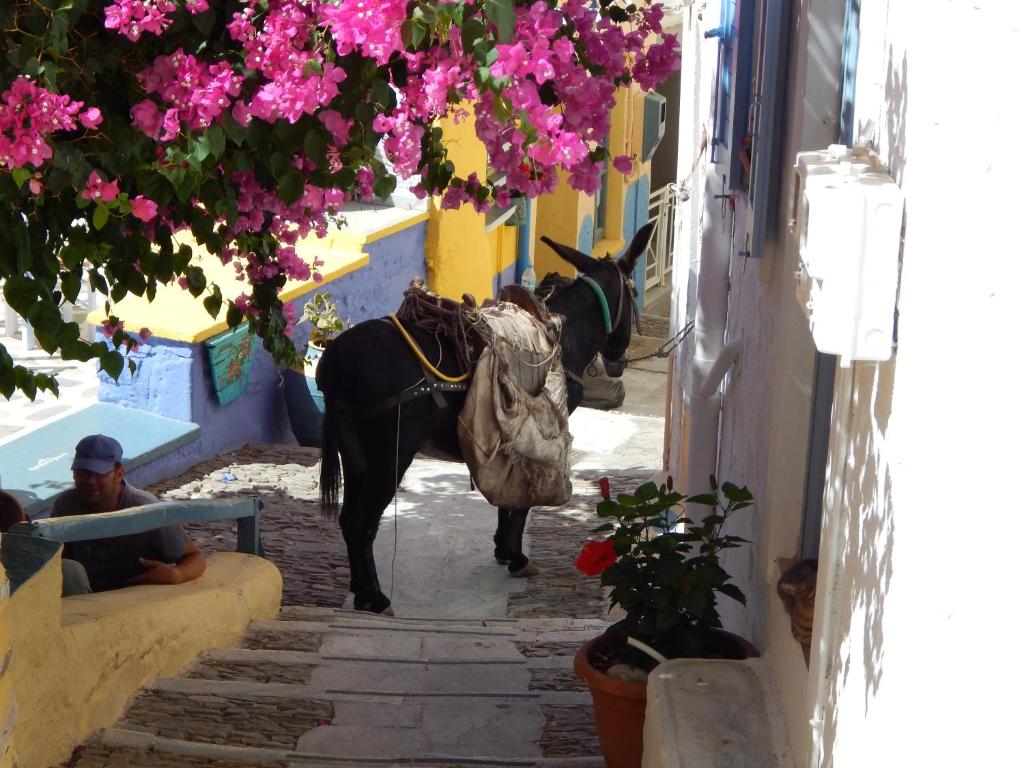 Hosté ubytování ΑΤΕΛΙΟΥ ΣΤΟΥΝΤΙΟ