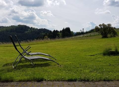 un banco de metal sentado en un campo de hierba en Appartement Neuastenberg, en Winterberg
