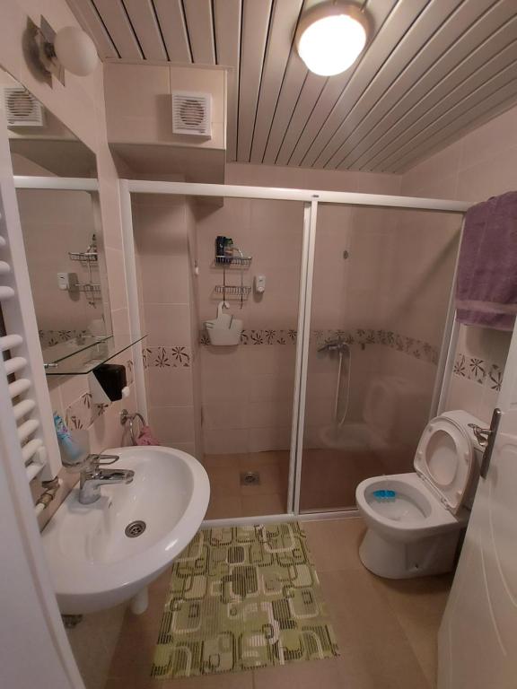 Koupelna v ubytování RoyalWings apartman Jagodina