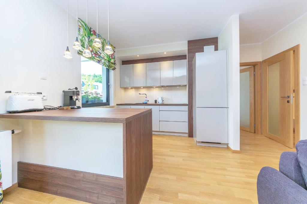 Kuchnia lub aneks kuchenny w obiekcie Pomorskie Apartamenty Bernadowska Green Deluxe