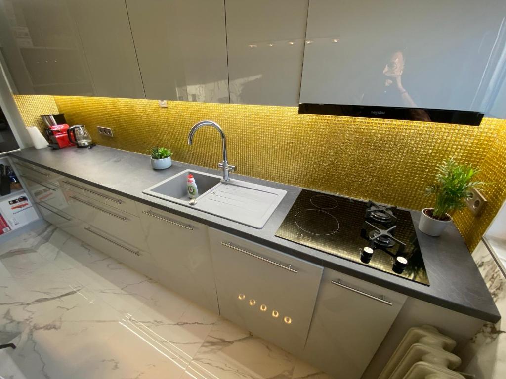 Kuchyňa alebo kuchynka v ubytovaní Lonyay Street Apartment