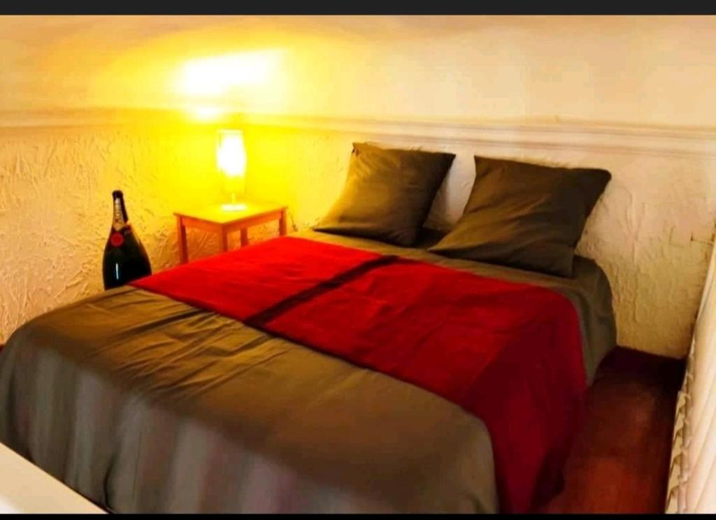 une chambre avec un lit avec une couverture rouge dans l'établissement Appartement 2 minutes de la mer Nice vieille ville, à Nice