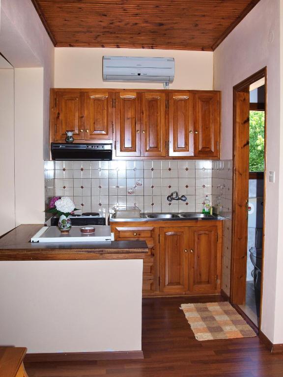 Kuchyň nebo kuchyňský kout v ubytování Olga Studios
