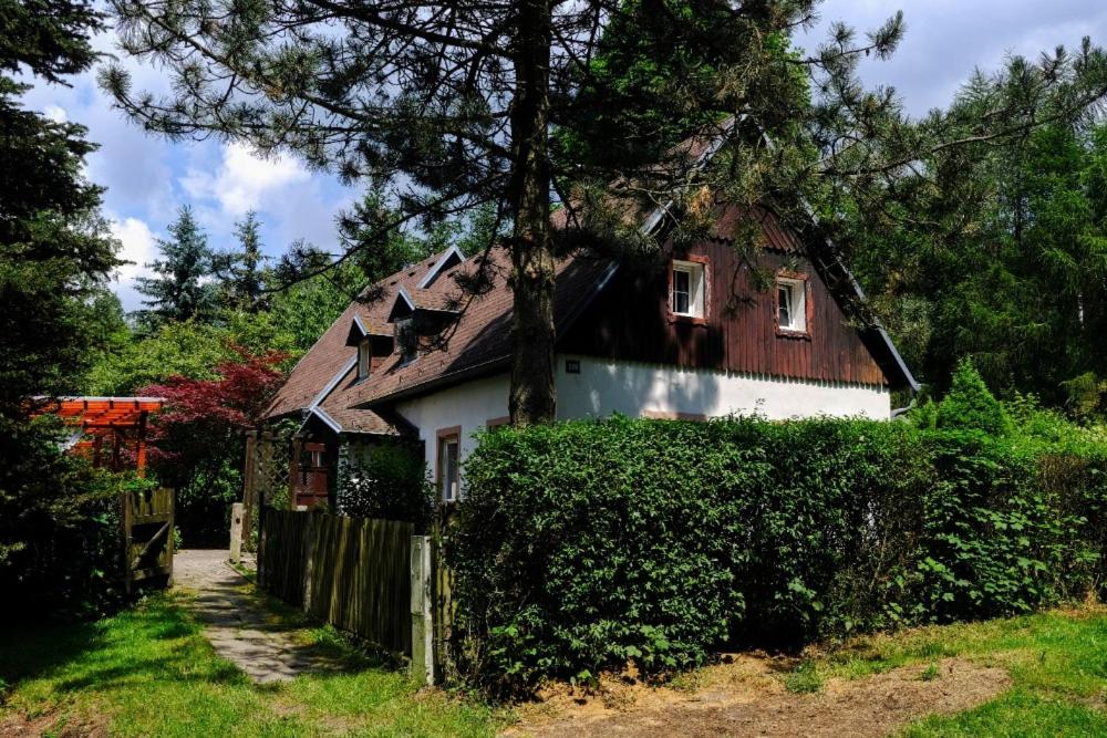 a house with a brown roof and a fence at Chalupa v ráji. in Tisá