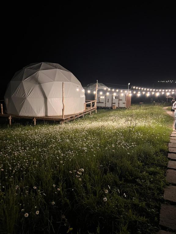 Zahrada ubytování Glamping Park