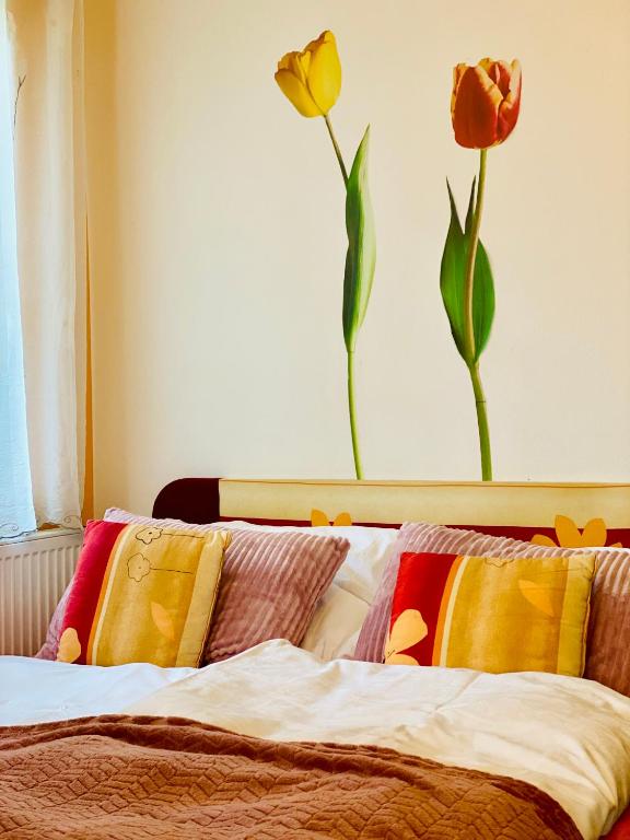 Alba Apartmany Železná Ruda - Wohnung Mit Einem Schlafzimmer