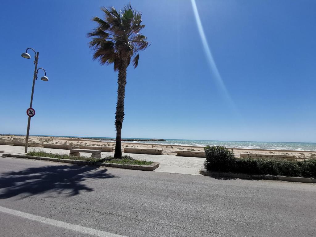 una strada con una palma e la spiaggia di Casa Vacanze Tavolara 2 a Donnalucata