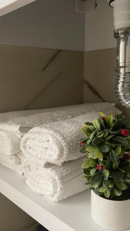 Hotel MS - Image 3