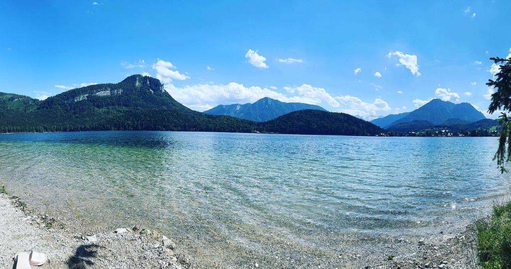 Príroda v okolí horskej chaty