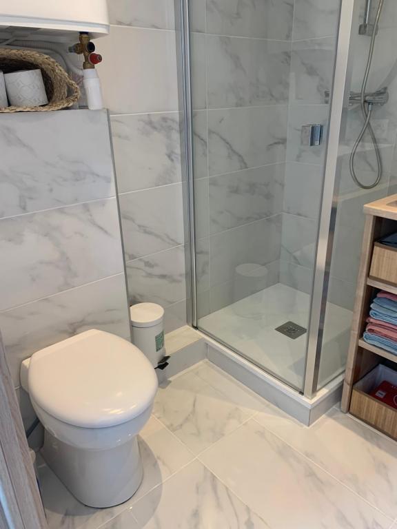 a bathroom with a toilet and a shower at Studio le Monroe les pieds dans l'eau 10 m de la mer in La Seyne-sur-Mer