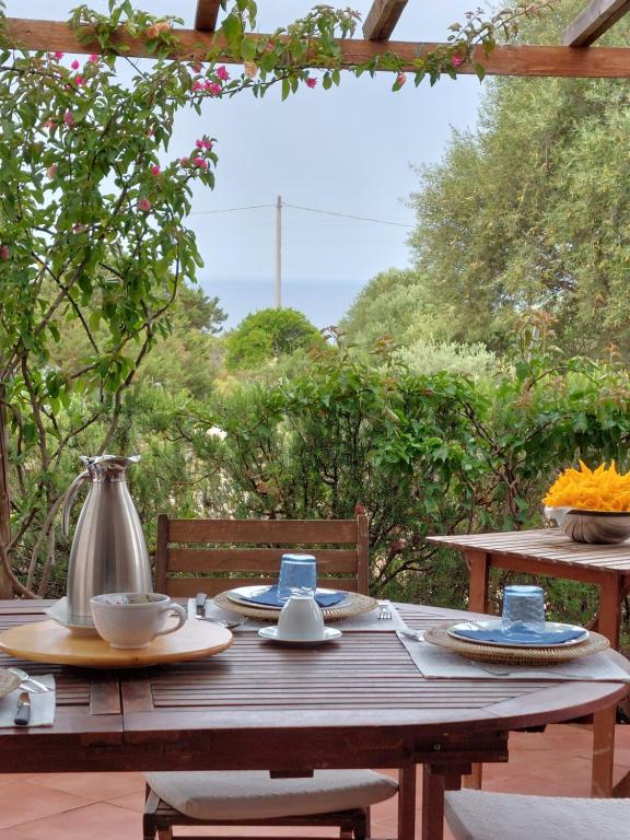 Een tuin van Arcamyrtus