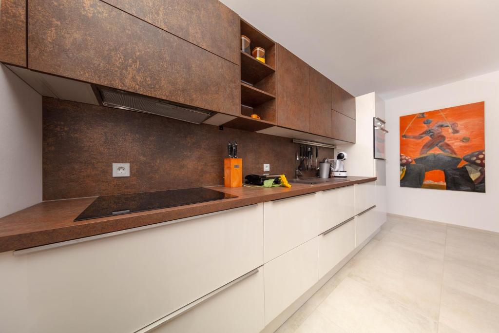 Kuchyň nebo kuchyňský kout v ubytování Apartman Oranž