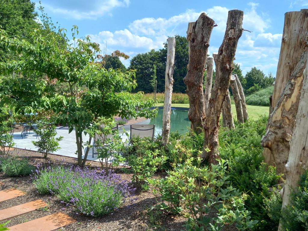 un jardín con árboles, flores púrpuras y un estanque en Le jardin des fagnes en Robertville