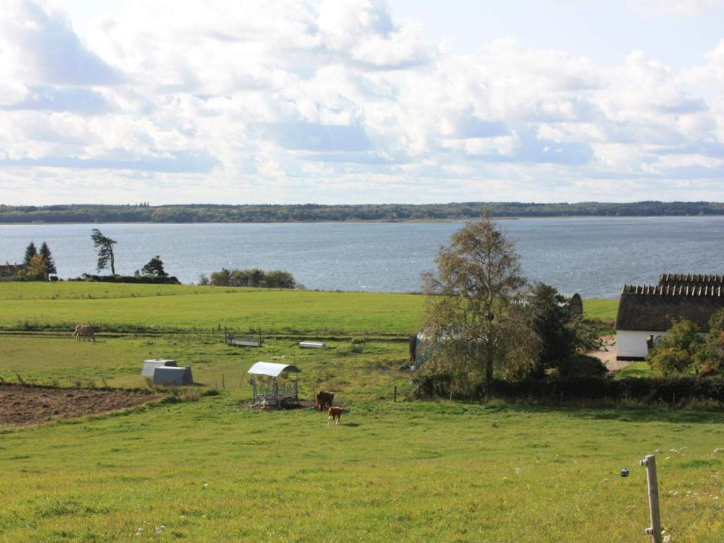 FrederiksværkにあるHoliday home Frederiksværk Vの水の横の畑に立つ牛