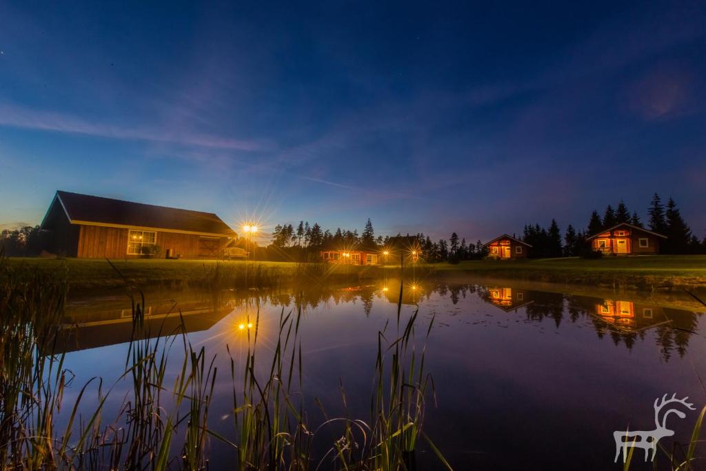 a house sitting next to a lake at night at Viesu mājas Briedīši in Raiskums