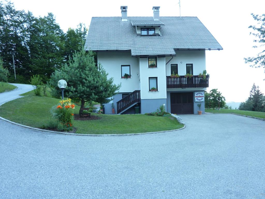 a house with a driveway in front of it at Apartments Pri Marjetki in Cerkno