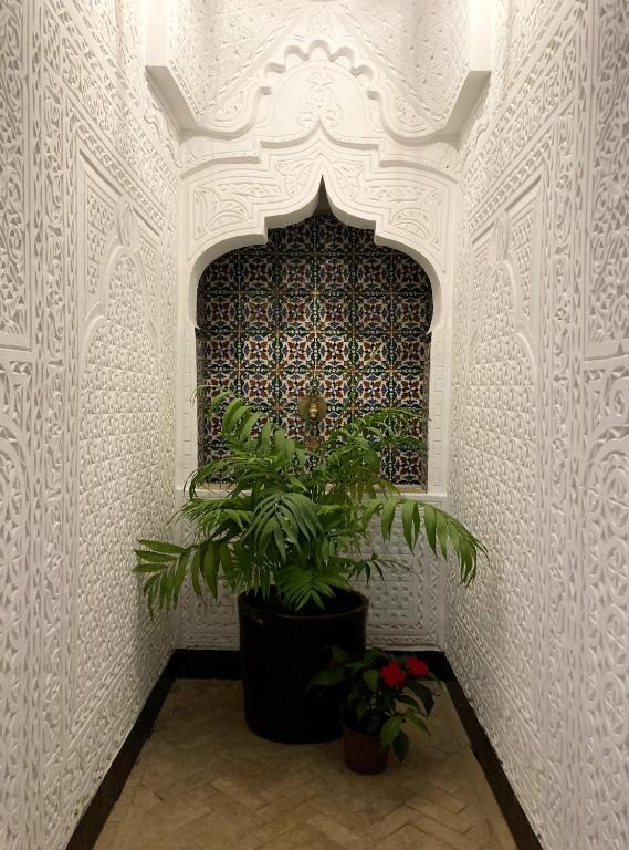 Imagem da galeria de Dar Hannan em Chefchaouene