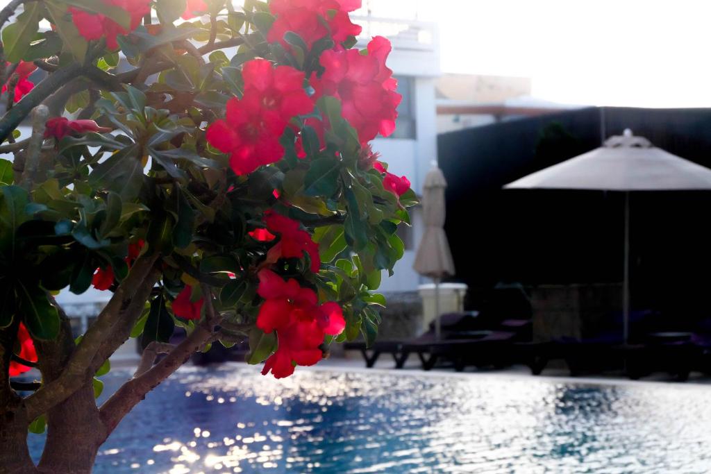 LK The Empress - Resim 17