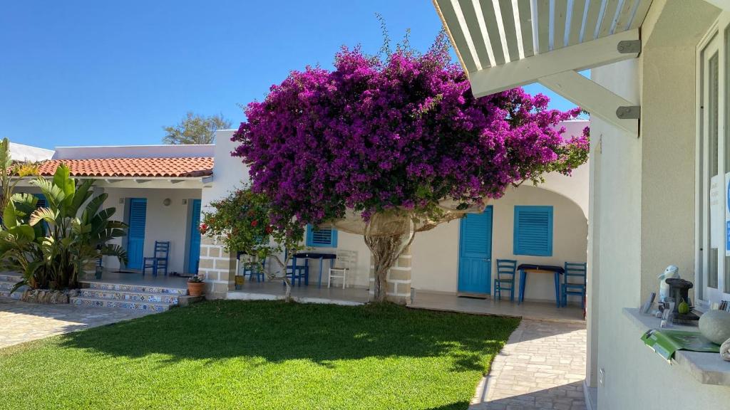 a house with a purple flowering tree in the yard at Antichi Mulini in Favignana