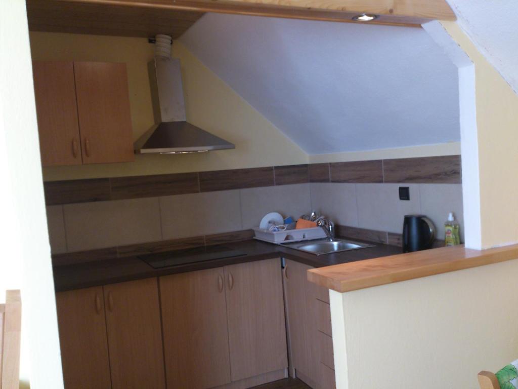 Kuchyň nebo kuchyňský kout v ubytování Apartmaji Sparakel