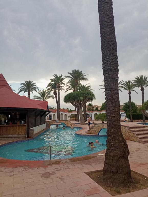 a swimming pool with palm trees and people in it at Alojamiento con Piscina y chiringuito Denia in Denia