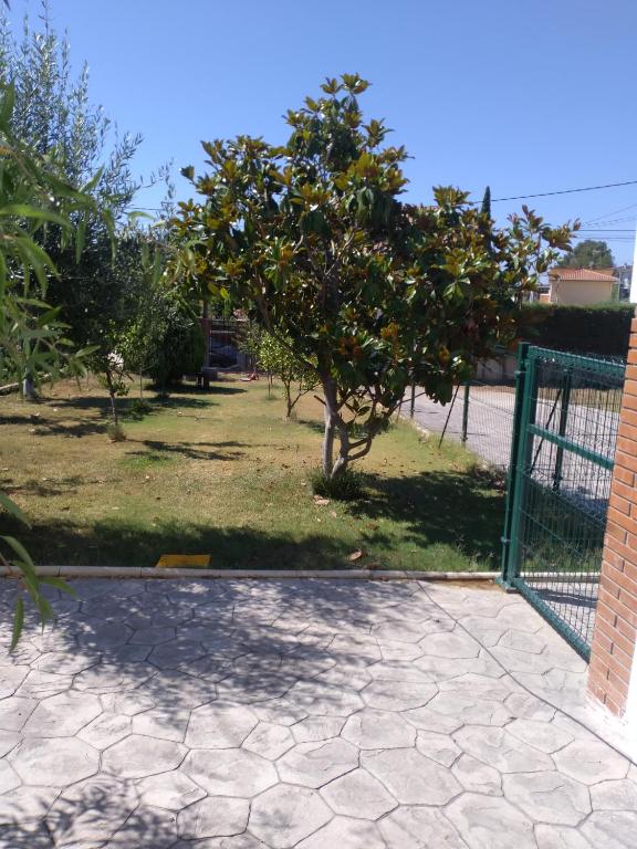 Vonkajšia záhrada v ubytovaní Escapada de ciudad al aire libre