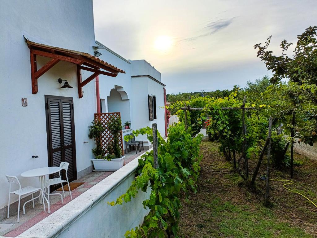Zahrada ubytování Il Giunco B&B